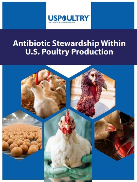 EE.UU. - Informe sobre uso de antibióticos en la industria avícola - Image 1