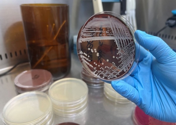 Chile - Laboratorio de Patología Aviaria en la Universidad de Chile: más de seis décadas de servicio - Image 1