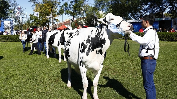 Notable interés internacional por TodoLáctea 2026 - Image 3