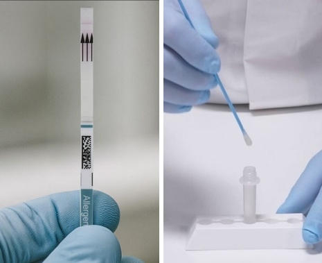 Alérgenos: Errores de muestreo y preparación de muestras, Publican Guia gratuita - Image 1