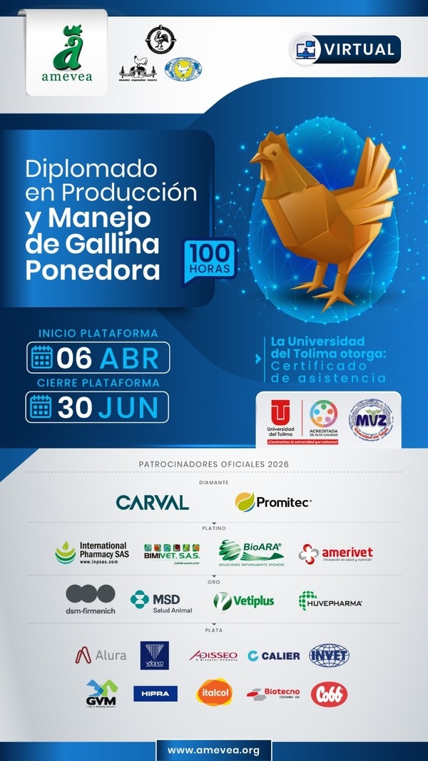 Diplomado sobre Producción y Manejo de Gallina Ponedora - Image 1