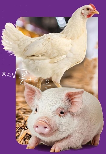 Guatemala - Capacitan sobre el uso de ecuaciones matemáticas en la nutrición animal - Image 1