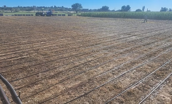 Argentina - EnBio 2026: El foco puesto en el estrés abiótico y la revolución de los biológicos - Image 2