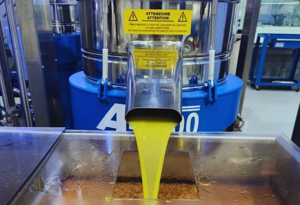 Argentina - Coproducto de la oliva base para suplementos nutritivos para monogástricos - Image 1