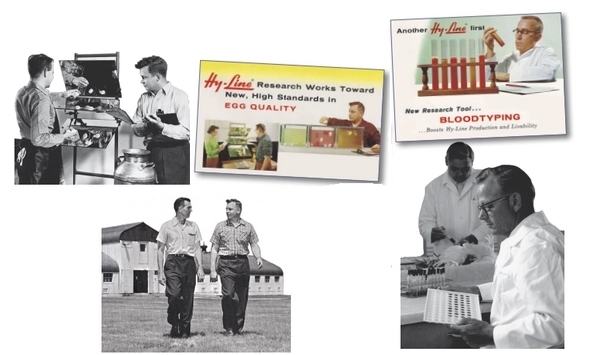 Hy-Line International celebra 90 años - Image 1