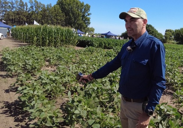 Argentina - Estrés abiótico... pocos ven y  todos lo sufren - Image 3