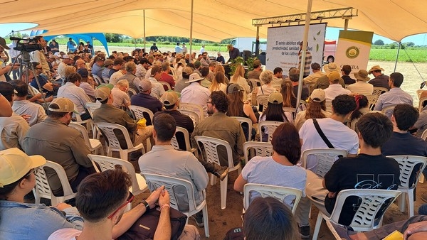Argentina - Estrés abiótico... pocos ven y  todos lo sufren - Image 1