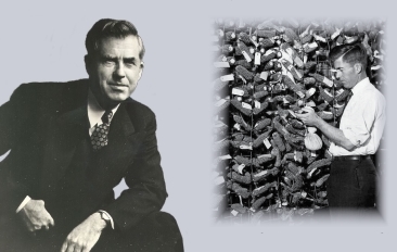 Hy-Line International celebra 90 años - Image 1