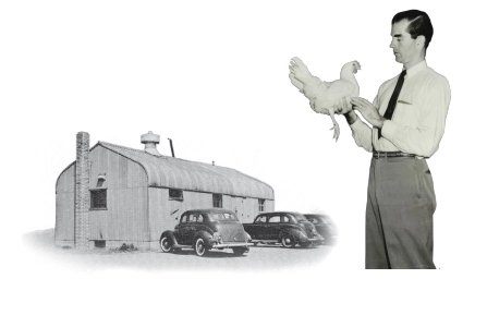 Hy-Line International celebra 90 años - Image 1