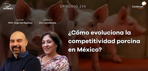 CerdoCast #226 – ¿Cómo evoluciona la competitividad porcina en México? - Image 1