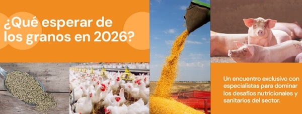 Calidad del grano en 2026: Prevalencia y tendencias de las micotoxinas - Image 1