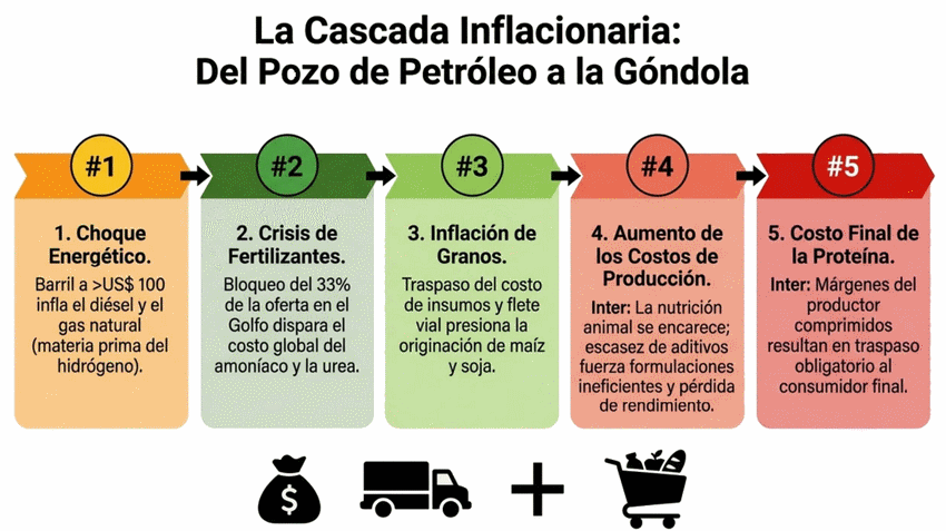 Tormenta Perfecta en el Estrecho de Ormuz: Efecto Dominó que Amenaza la Nutrición Animal - Image 1
