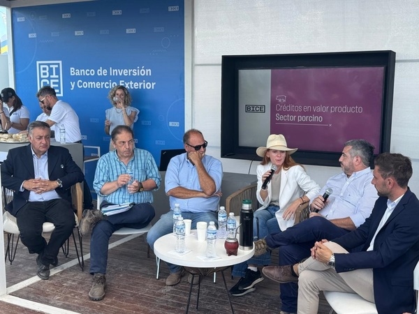 Bioaromas cerró su participación en ExpoAgro con foco en innovación, eficiencia y vínculos estratégicos - Image 3