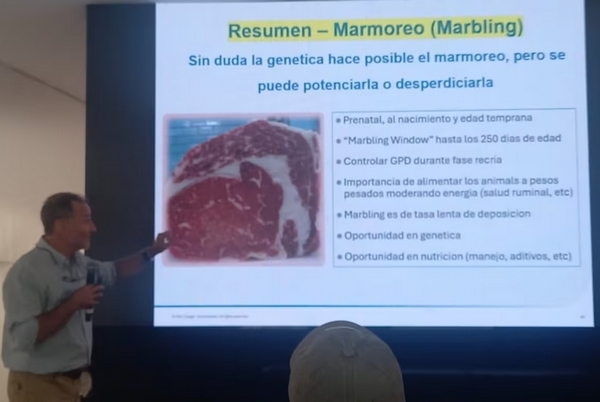 “Con marmoleo se puede ganar hasta 20% más”: el mensaje de un nutricionista para la ganadería argentina - Image 4