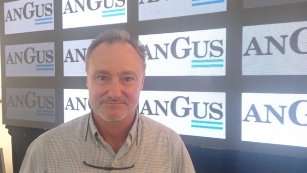 “Con marmoleo se puede ganar hasta 20% más”: el mensaje de un nutricionista para la ganadería argentina - Image 2