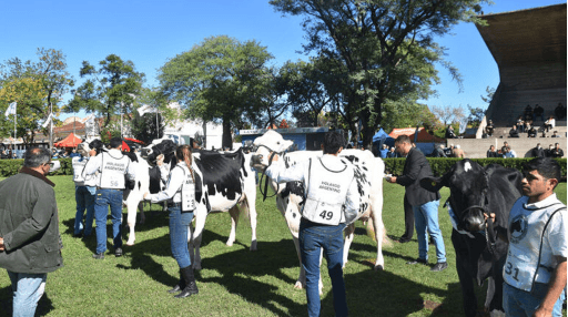 La jura de vacas lecheras en TodoLáctea estará a cargo de un experto mundial - Image 1