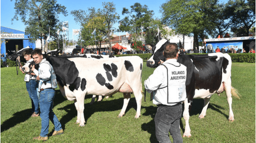 La jura de vacas lecheras en TodoLáctea estará a cargo de un experto mundial - Image 3