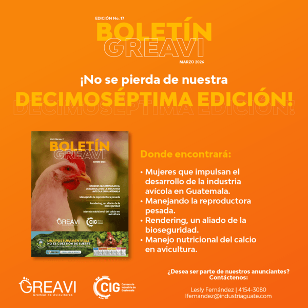 Boletín GREAVI: Disponible la versión Nro. 17 - Image 1