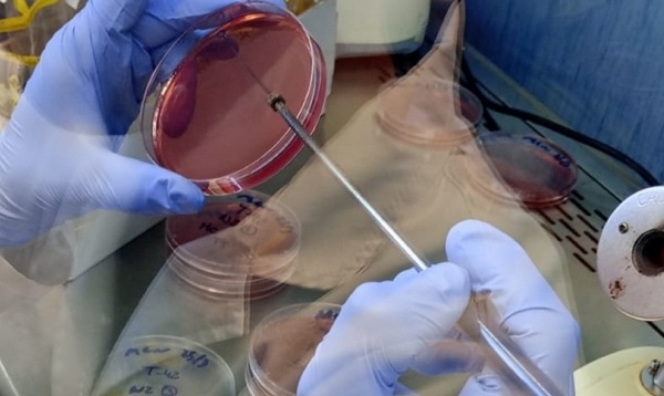 Argentina - INTA se integra a la RedLab para fortalecer el control sanitario avícola - Image 1