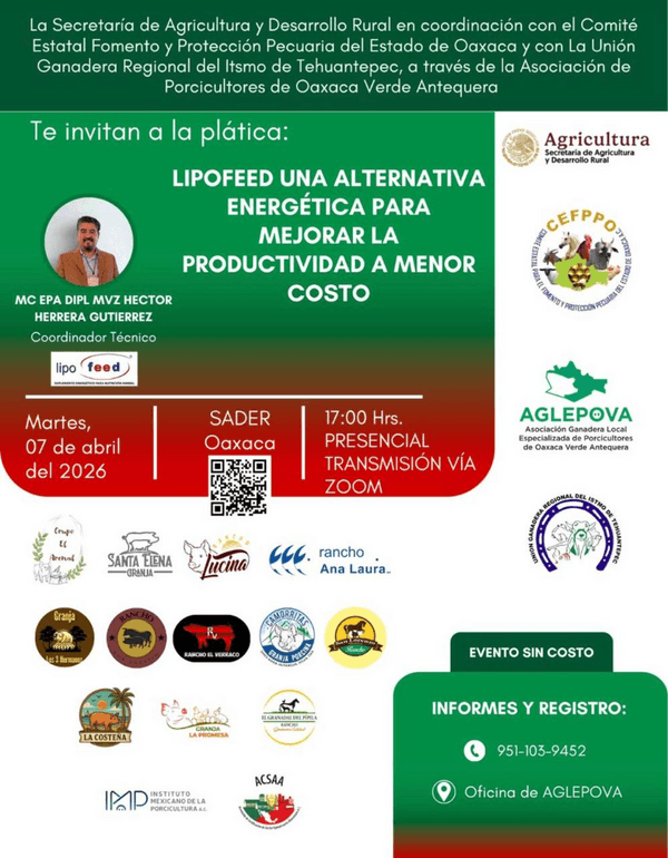 Alternativa energética para mejorar la productividad a menor costo - Image 1