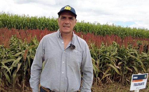 Argentina - Expo RAGT Semillas: El sorgo podría duplicar su actual rinde promedio - Image 4