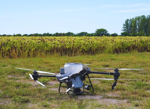 Argentina - Con drones y algoritmos, reducen el uso de nitrógeno en girasol - Image 1