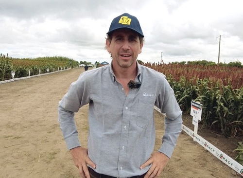 Argentina - Expo RAGT Semillas: El sorgo podría duplicar su actual rinde promedio - Image 2