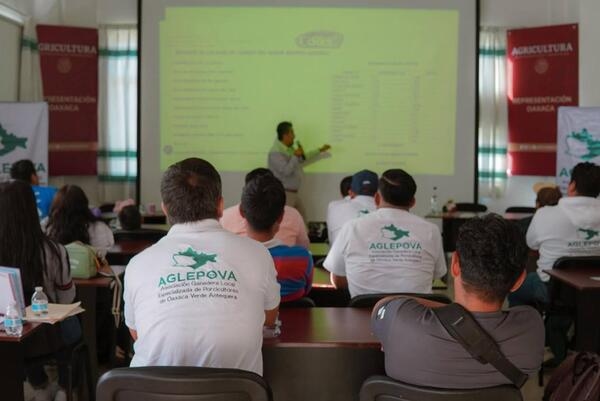 Alternativa energética para mejorar la productividad a menor costo - Image 2