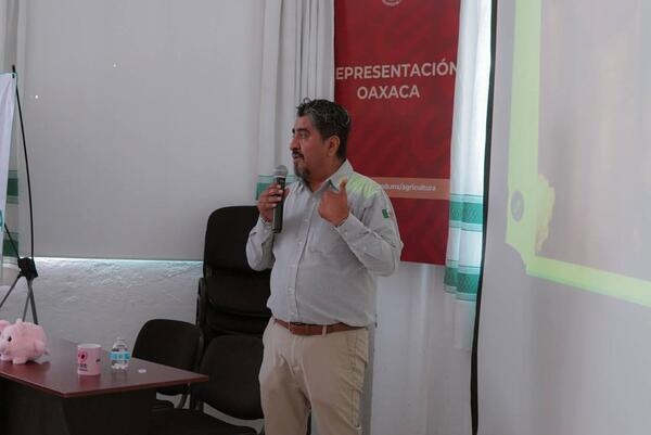 Alternativa energética para mejorar la productividad a menor costo - Image 1