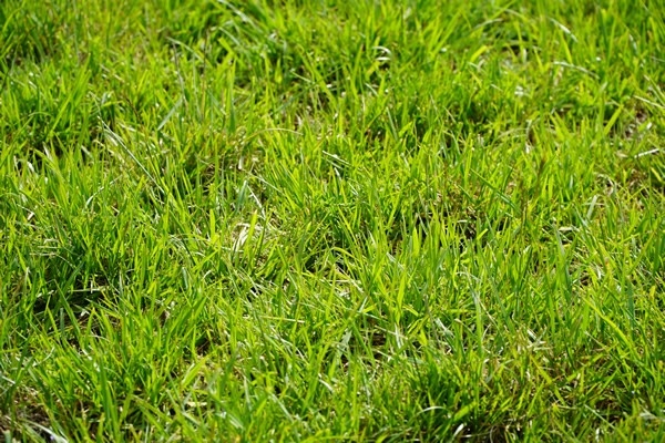 Argentina - El valor del agua, eje central del Simposio Regional Fertilidad 2026 - Image 1