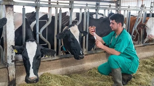 Unión Europea - Residuos de medicamentos veterinarios en los alimentos: Ultimas novedades - Image 1