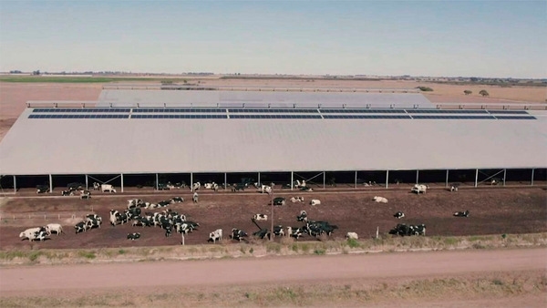 El Tour Lechero TodoLáctea propone la visita a dos tambos referentes de Córdoba - Image 1