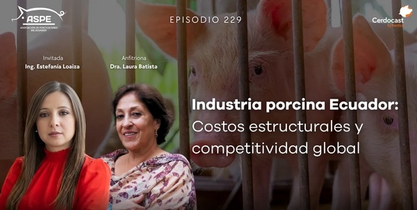 CerdoCast #229: Porcicultura en Ecuador: Desafíos de costos y competitividad global - Image 1