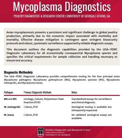 EE.UU. - Micoplasmosis aviar: Nuevo documento de Poultry Diagnostic & Research Center - Image 1