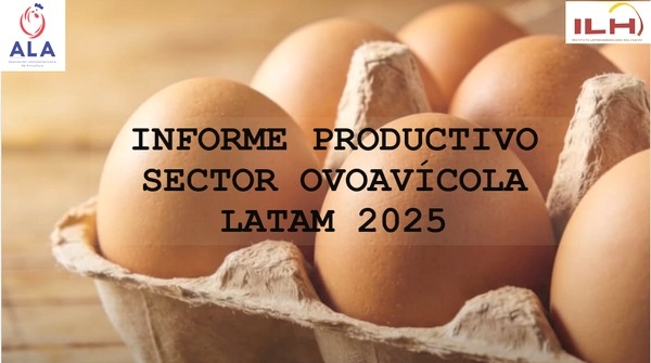 Latinoamérica: La potencia silenciosa que produce 6.000 huevos por segundo - Image 1