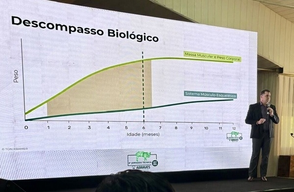 Problemas locomotores,  causa principal de matanza temprana de hembras - Image 1