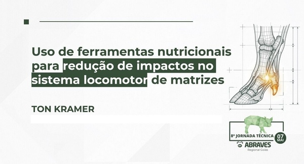 Problemas locomotores,  causa principal de matanza temprana de hembras - Image 2