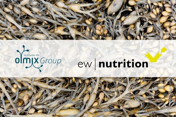 EW Group GmbH inicia negociaciones para adquirir Olmix - Image 1