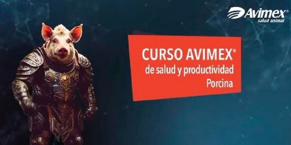 Curso Avimex de salud y productividad porcina - Image 1