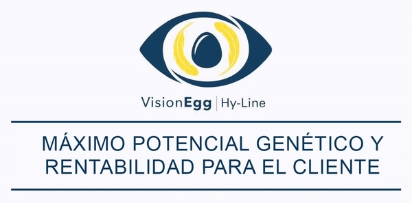 Hy-Line International ofrece un programa exclusivo de evaluación comparativa - Image 1