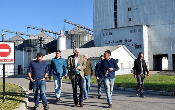Argentina - Las Camelias avanza en la construcción de una granja avícola para 522.000 aves - Image 2