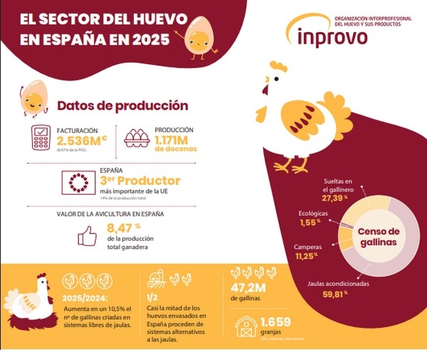 España - Informe del  Consumo de Huevo en 2025 - Image 1