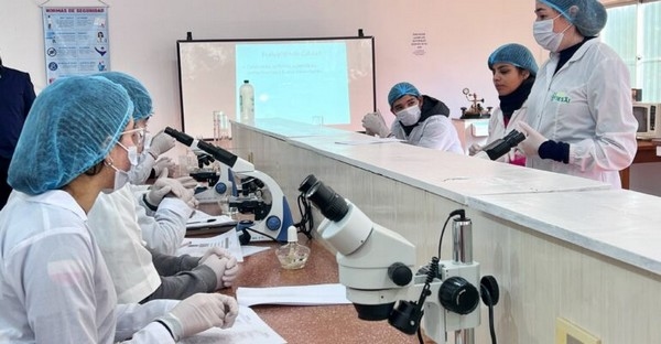 Paraguay - Producción y control de calidad de Trichoderma - Image 1