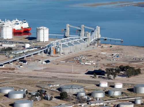 Argentina - Dreyfus construirá una Nueva Planta de Procesamiento de Girasol y Soja - Image 2