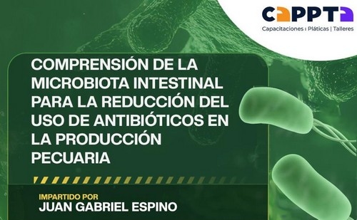 Comprendiendo la microbiota intestinal para reducir antibioticos: Curso en Guatermala - Image 1