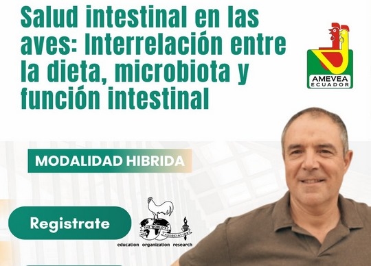 Ecuador - AMEVEA: Vuelven las Tardes de actualización profesional - Image 1