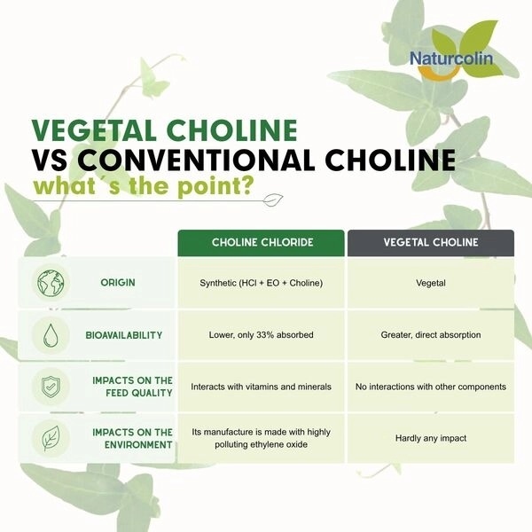NATURCOLIN VS. COLINA CONVENCIONAL: ¿CUÁL ES LA IDEA? - Image 1
