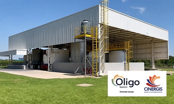 Brasil - Innovad Group adquiere Cinergis - Image 1