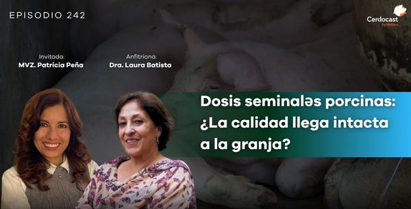CerdoCast #242 -  Dosis seminales porcinas: ¿La calidad llega intacta a la granja? - Image 1