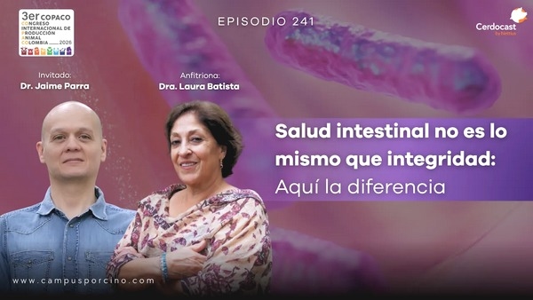 CerdoCast #241 - Salud intestinal no es mo mismo que integridad - Image 1